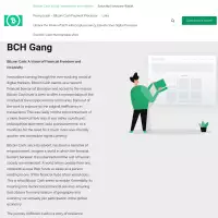Bitcoin Cash is fast, inexpensive and reliable - BCH Gang